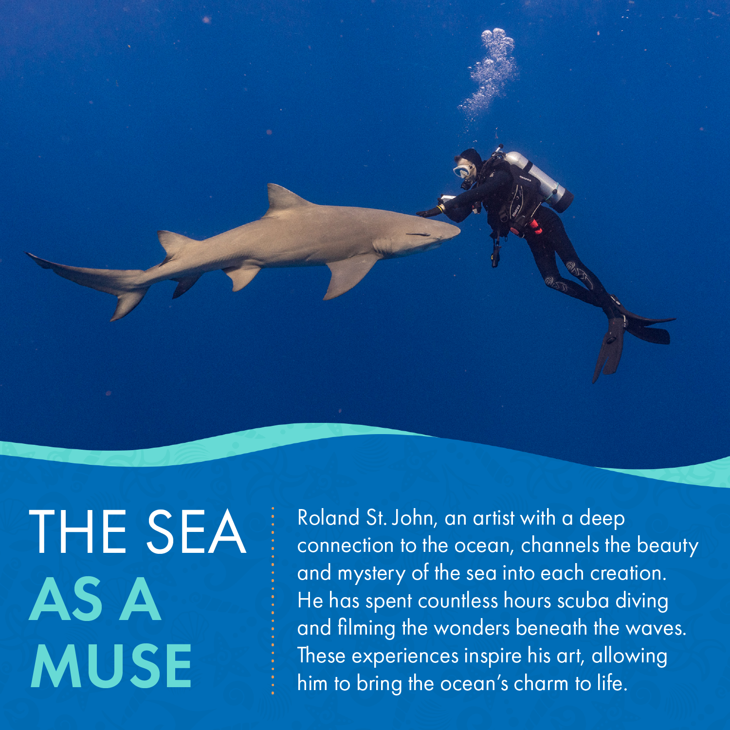 Sea Turtle Necklace – Ocean Traveler Collection - Recycled Pewter on Cotton Cord - Big Blue