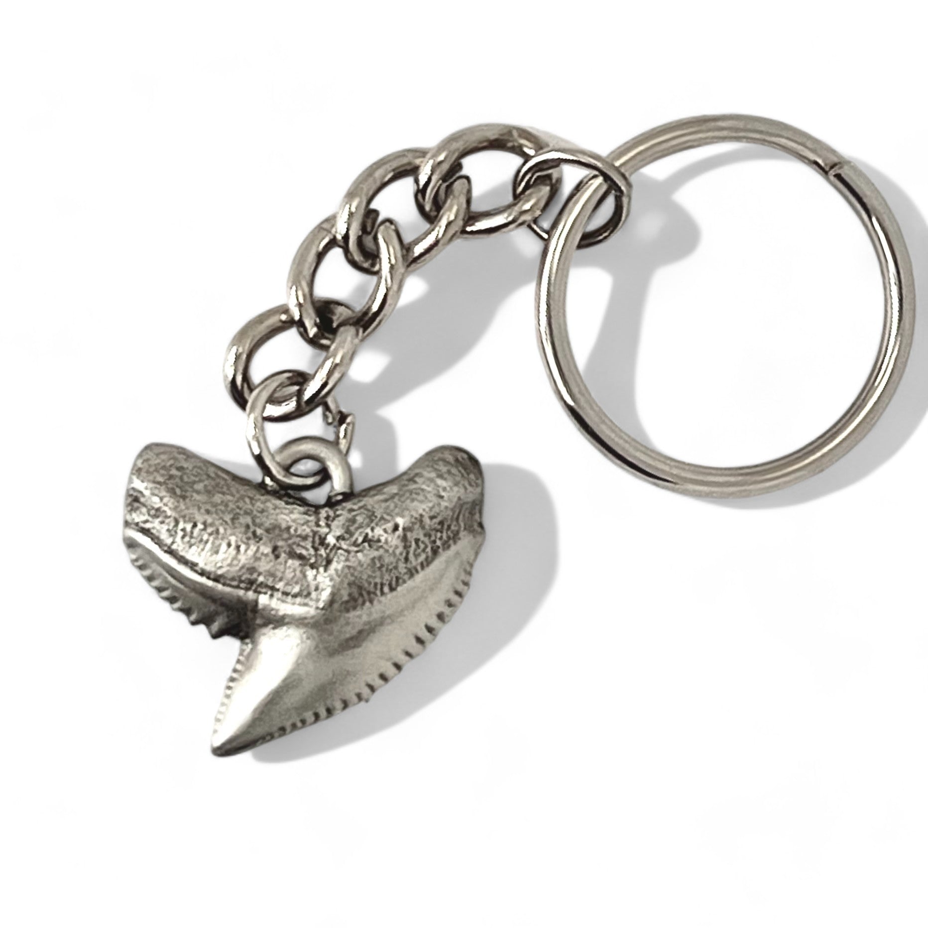 Shark Tooth Keychain, Shark Tooth Key Ring, Tiger Shark Tooth Keychain ...