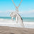 Manatee Necklaces for Women Sterling Silver, Small Manatee Necklace for Girls, Manatee Gifts - Big Blue