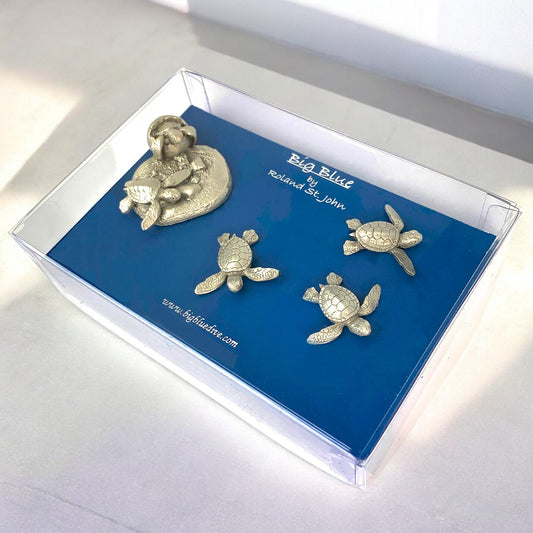 Baby Sea Turtle Magnets, Sea Life Magnets, Magnetic Sea Turtles, Gifts for Turtle Lovers, Baby Hatching Magnets, Turtle Gifts for Teachers - Big Blue