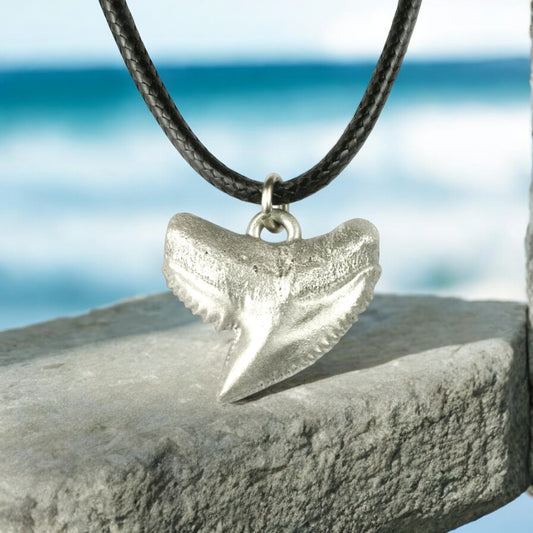 Shark Tooth Necklace – “Emma” Tiger Shark - Pewter on Cord - Big Blue