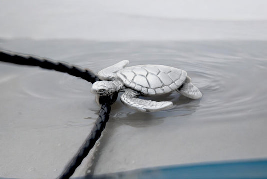 Sea Turtle Necklace- Sea Turtle Gift for Women and Men, Turtle Necklaces, Gifts for Turtle Lovers, Sea Life Jewelry, Realistic Sea Turtle Charms - Big Blue