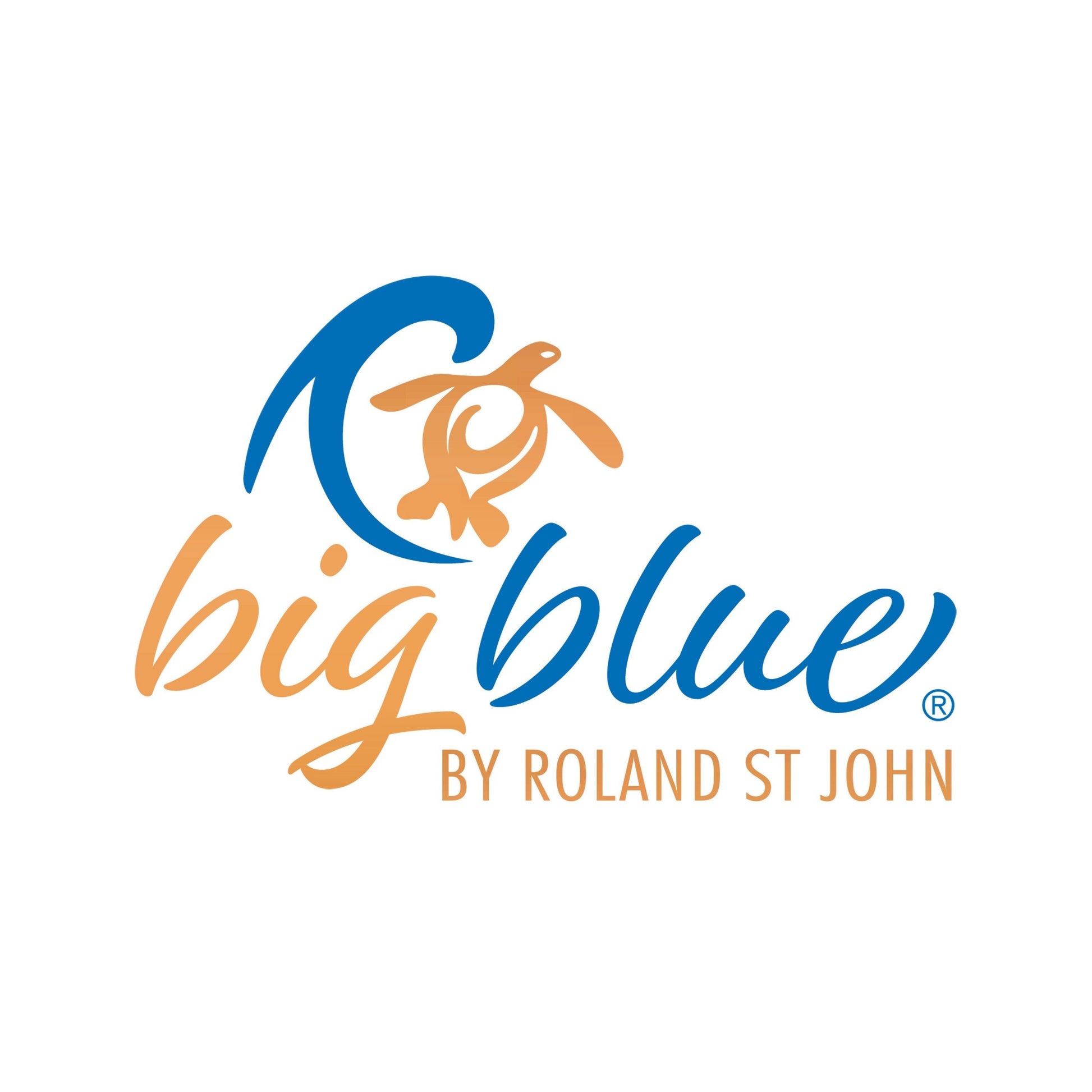 Big Blue by Roland St John sea turtle pendant in jet black finish, symbol of strength and wisdom.