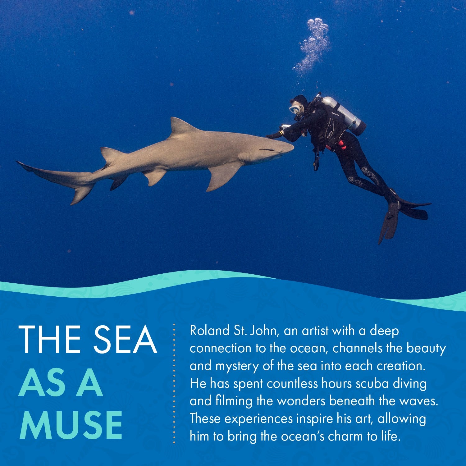 Big Blue by Roland St John sea turtle pendant in jet black finish, symbolizing strength and wisdom. Realistic design on cotton cord.