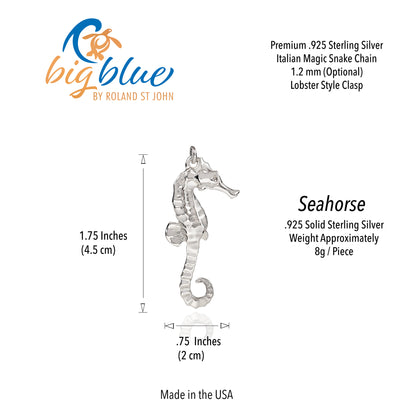Seahorse Necklaces for Women Sterling Silver- Sea Horse Jewelry for Women | Seahorse Gifts for Women | Seahorse Charm |Seahorse Pendant Necklace - Big Blue
