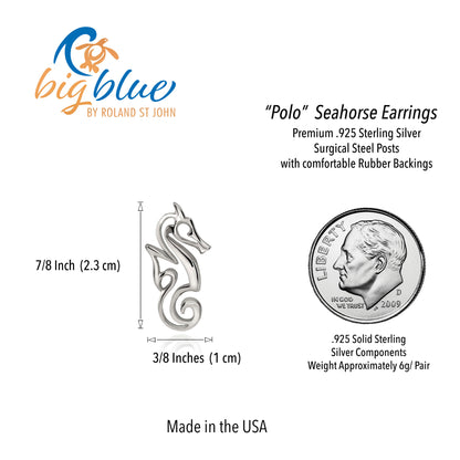 Seahorse Earrings Sterling Silver- Seahorse Post Earrings, Seahorse Stud Earrings, Seahorse Jewelry, Seahorse Gift - Big Blue