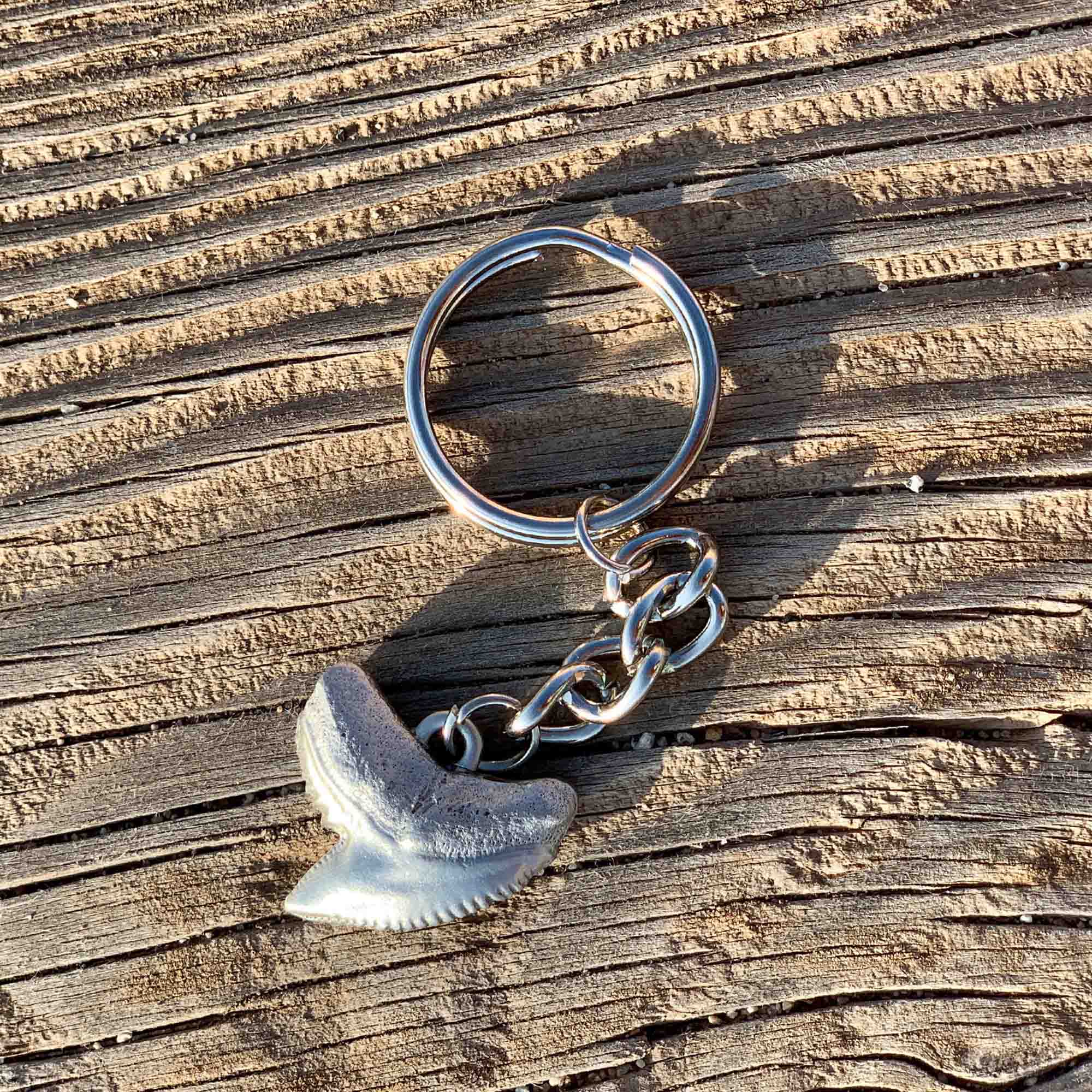 Shark Tooth Keychain, Shark Tooth Key Ring, Tiger Shark Tooth Keychain ...